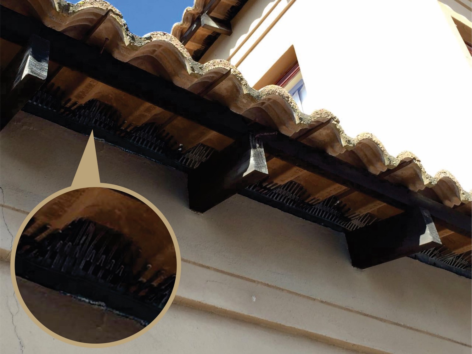 Bird Deterrent Specialists