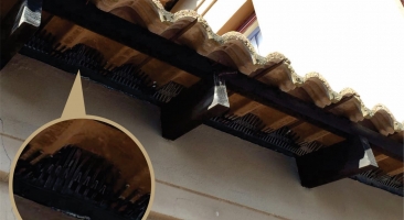 Bird Comb