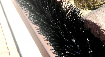 Bottle Brush Bird Barrier